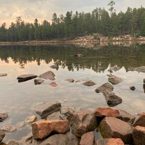 Meet your Posher, Susie